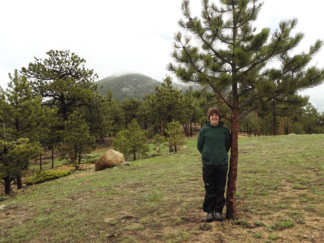 Woman in sweatshirt, hat, and long pants stands next to a pine tree in open pine woodland.