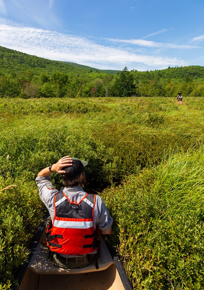 ranger in life jacket on a canoe surveys wetland vegetation