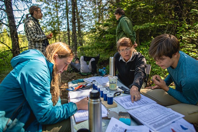 Biologists sit at a table in the woods, pointing to notes and writing down observations