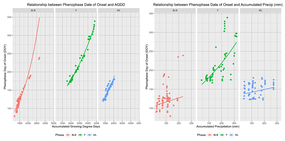 Two graphs that show the relationship between warmth and rain in oak phenology timing.