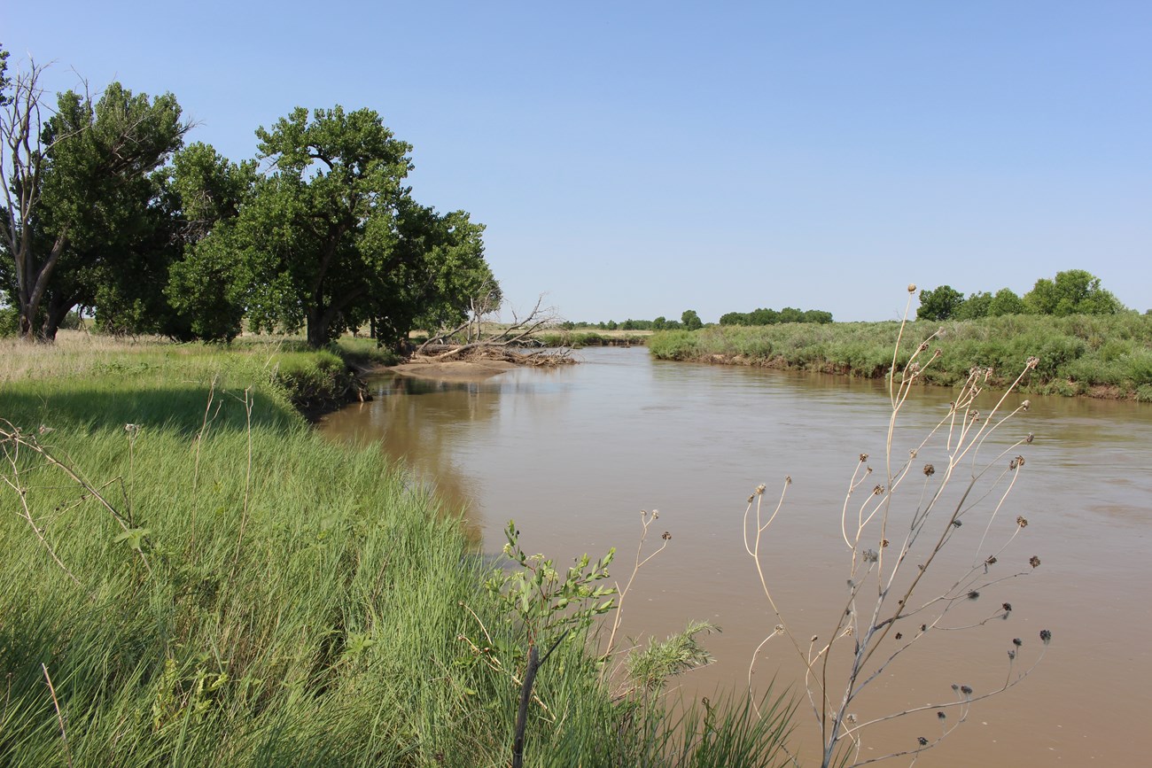 river flowing through grasslands