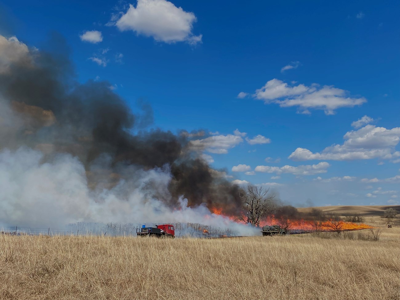 A fire burns across a grassland; a fire vehicle sits nearby.