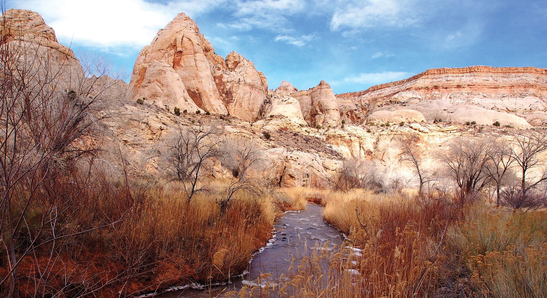 A small river lined with willows flows through a majestic red rock landscape.