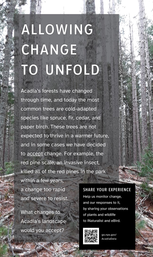 Thumbnail image of Changing Acadia wayside panel