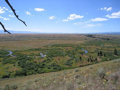 Landscape
