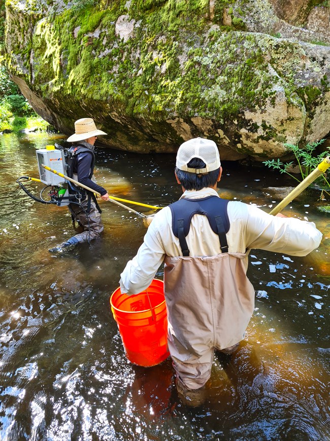 Erwin and another scientist wading in shallow water with gear