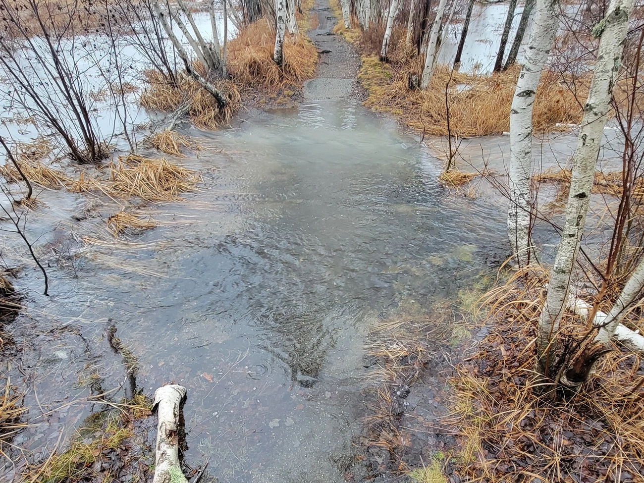Water pouring over the gravel trail at the Hemlock Road spillway