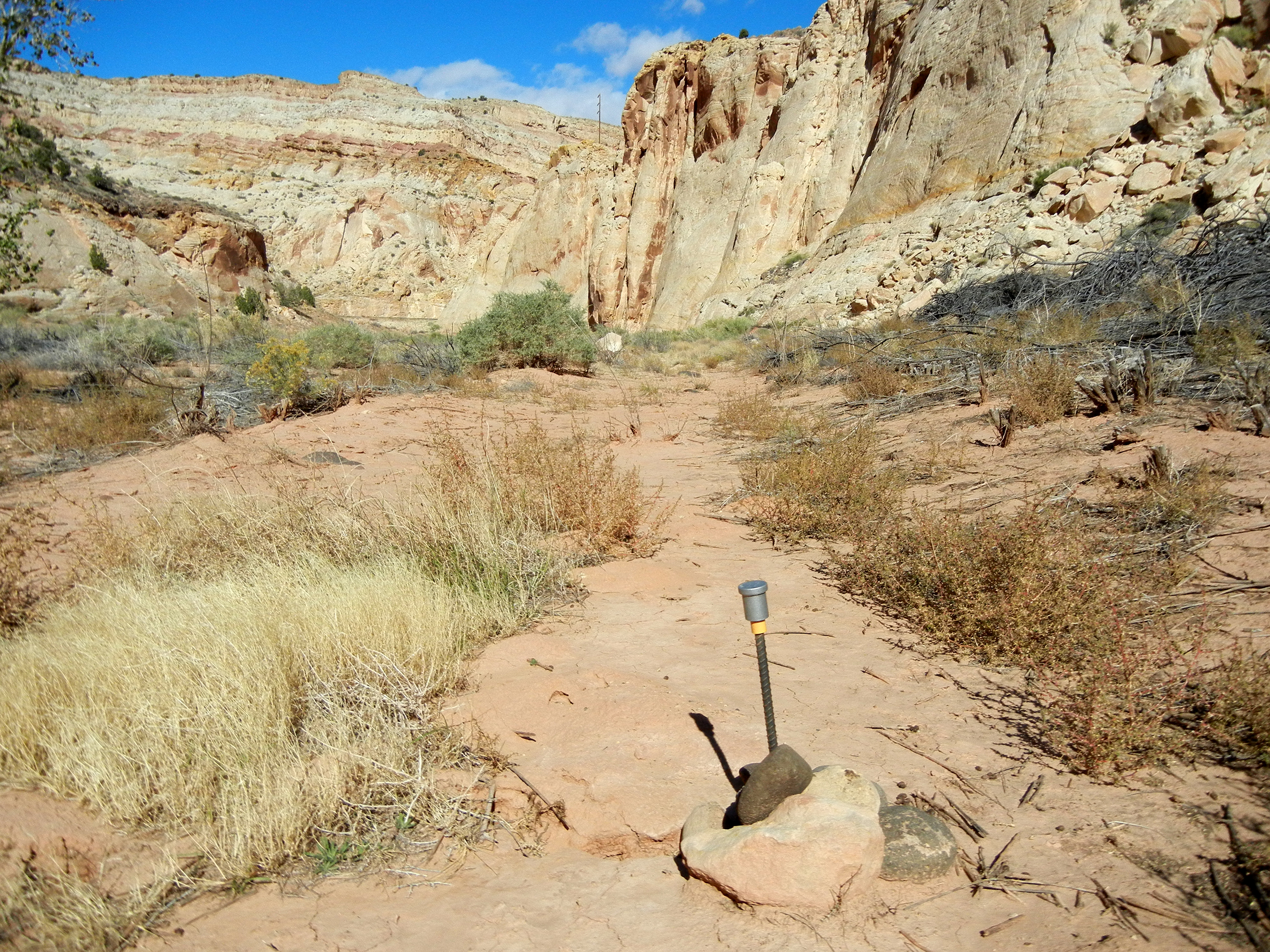 Grass and shrubs grow in a flat canyon bottom, A piece of rebar with transect headpin is in foreground.