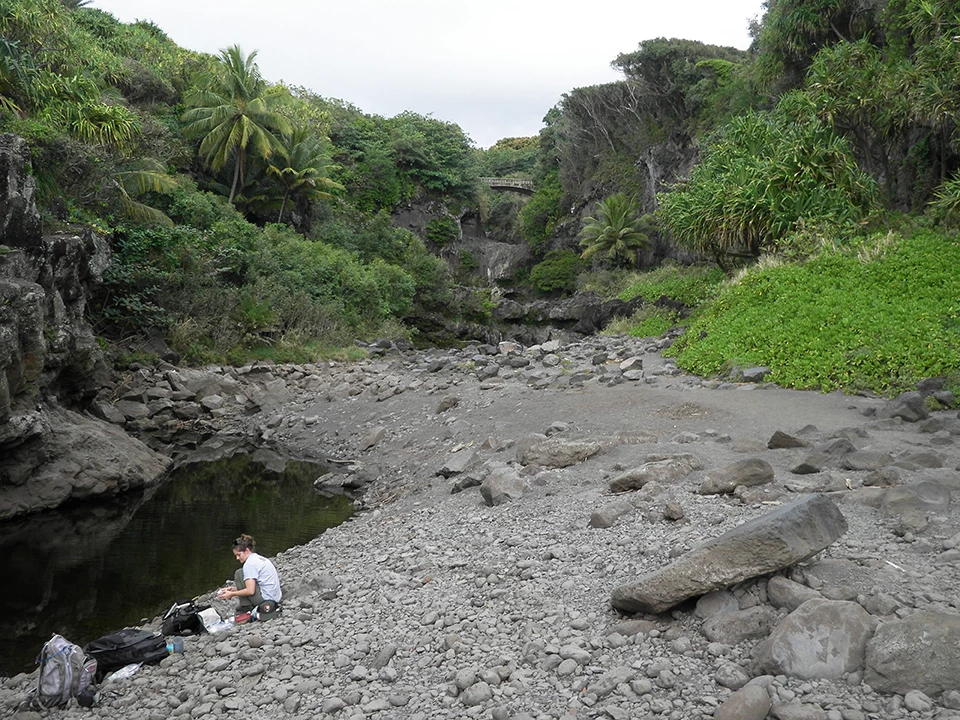 Drought conditions near the mouth of the same stream at Haleakalā National Park