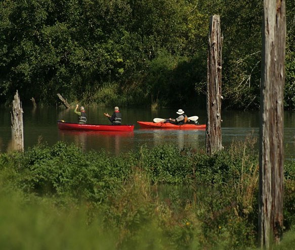 canoes on river