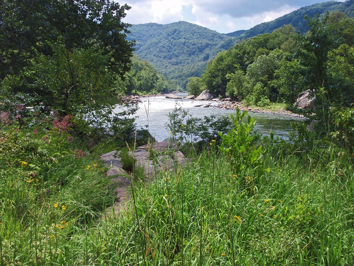 Diverse riverscour prairie vegetation alongside the New River