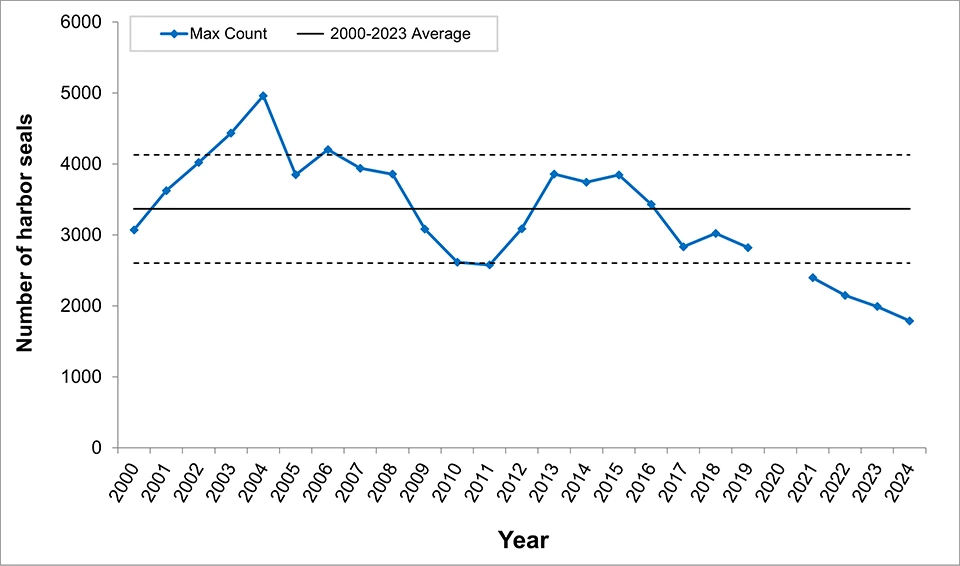 Line graph of maximum harbor seal molt season counts for 2000-2024. Through 2019, most years are within one standard deviation of the mean. 2021 was a record low, just below one standard deviation from the mean. Counts have steadily declined since then.