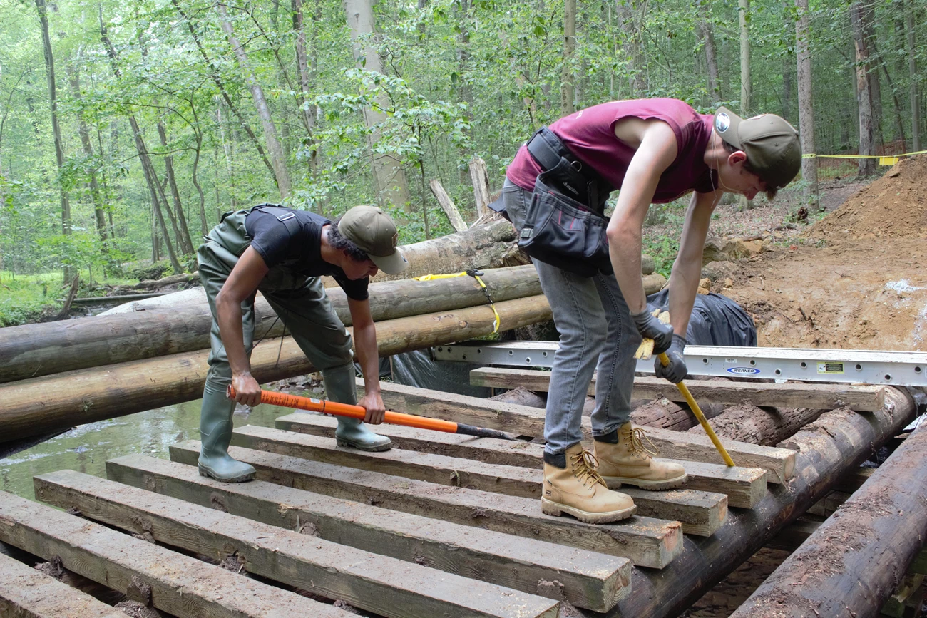 Student removing old logs