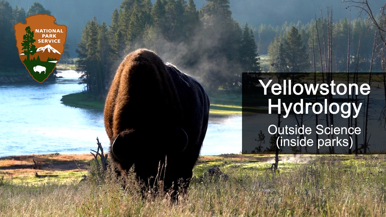 Title image for Outside Science (inside parks) Yellowstone Hydrology with image of a bison next to a river.