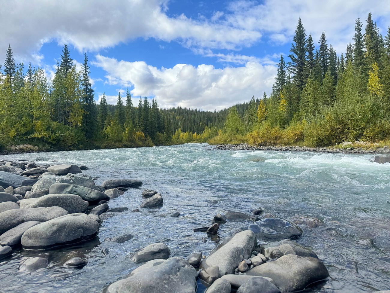 A large, turquoise creek lined with tall pines and some yellowing deciduous trees rushes past smooth boulders beneath an interesting, partly cloudy and blue sky.