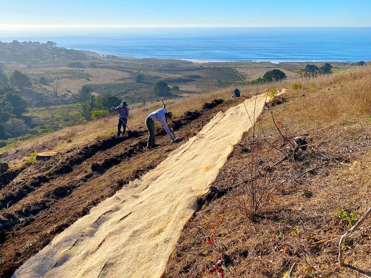 A line of landscape fabric laid across a hillside stretches out towards the ocean in the distance. Two people are working the bare earth below it, preparing for more to be laid down.