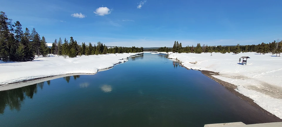 A calm, blue river with mostly flat, snowy banks in a snowy landscape of scattered conifers under a deep blue sky.
