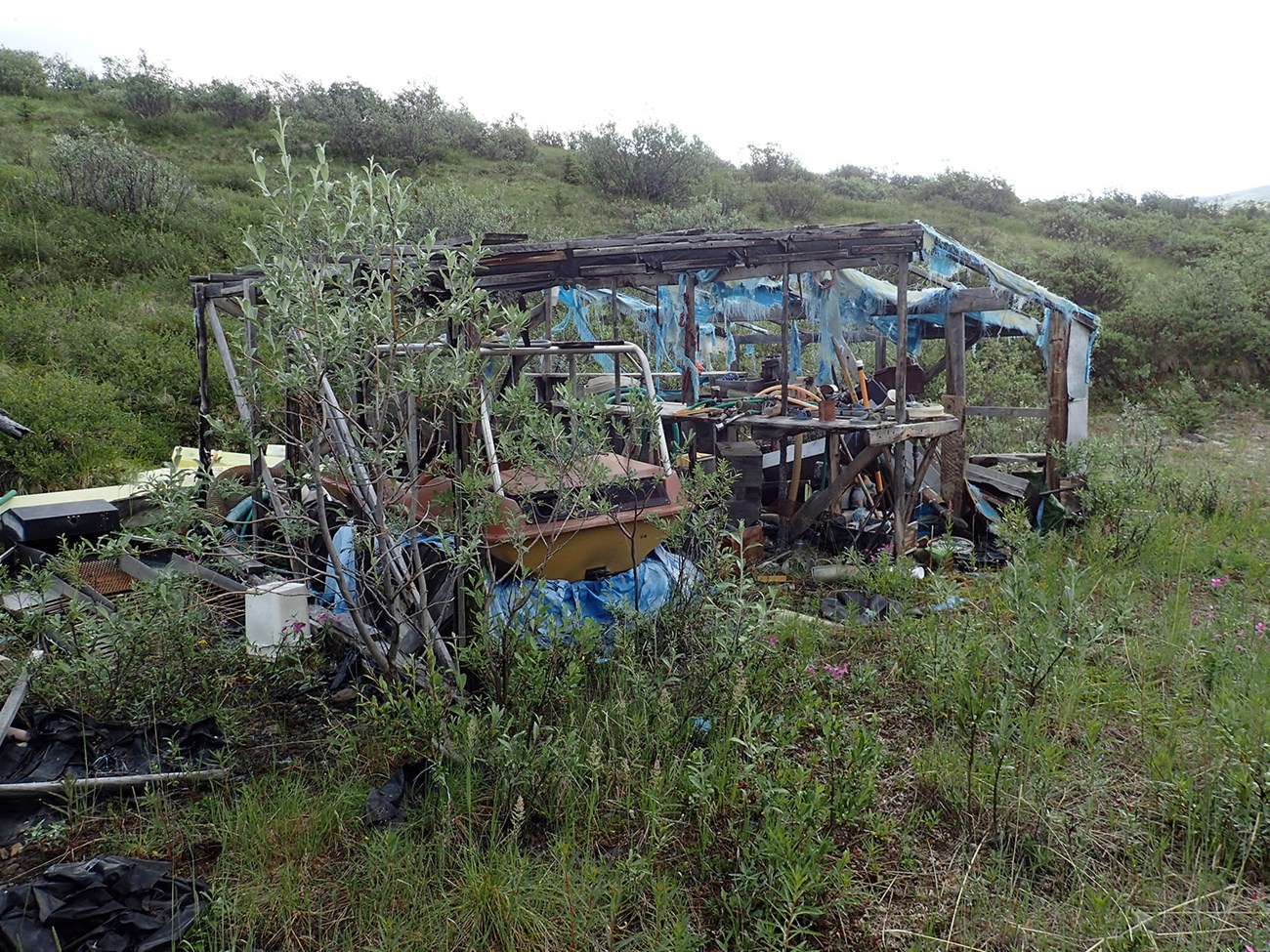An old structure with shredded blue tarp and a jumble of mining tools and debris.